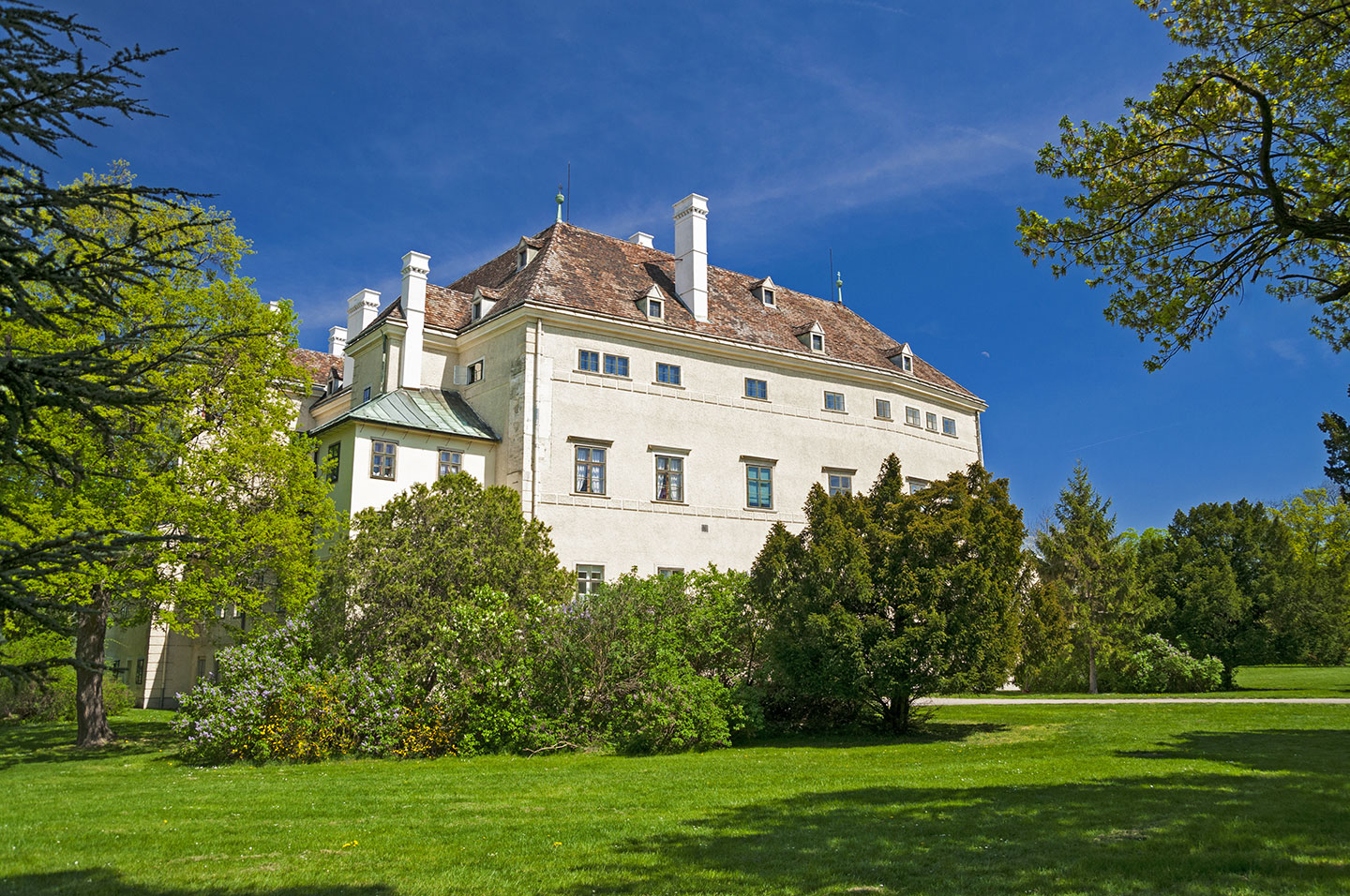 26 Historic Villa For Sale